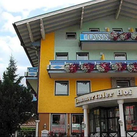 Lammertalerhof Hotel 3*